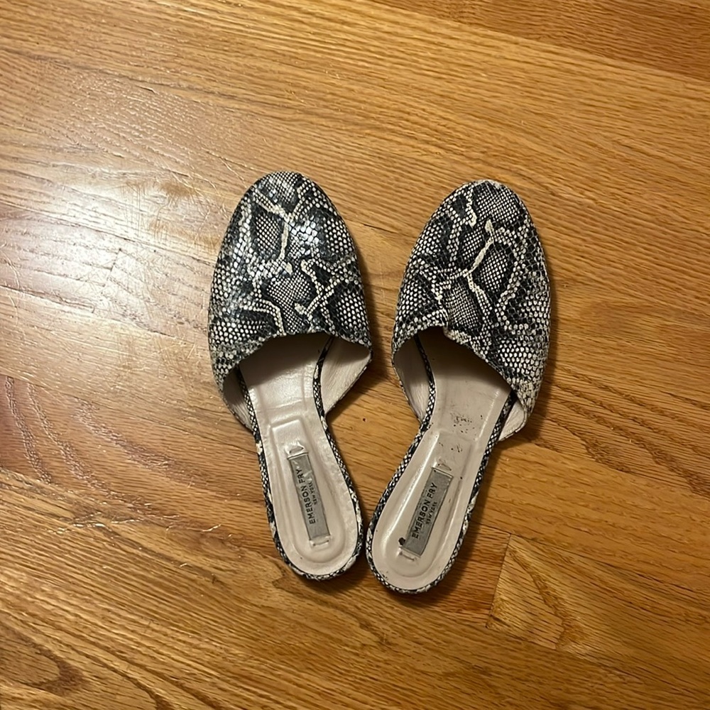 Emerson fry lizard slides